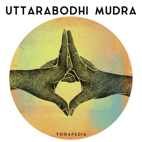 What Is Uttarabodhi Mudra Definition From Yogapedia Mudras Yoga