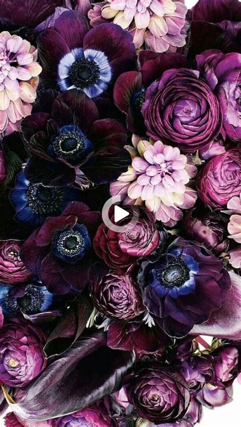 Flowers Lockscreen Wallpaper Flower Background Iphone Purple