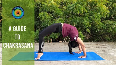 A Complete Guide To Chakrasana Preparatory And Counter Poses For