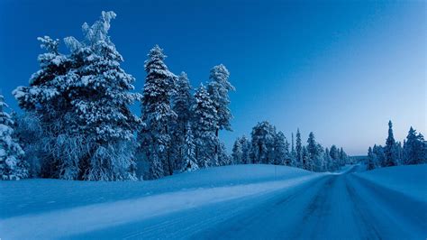 Snowy Road In The Forest Finland Wallpaper Backiee