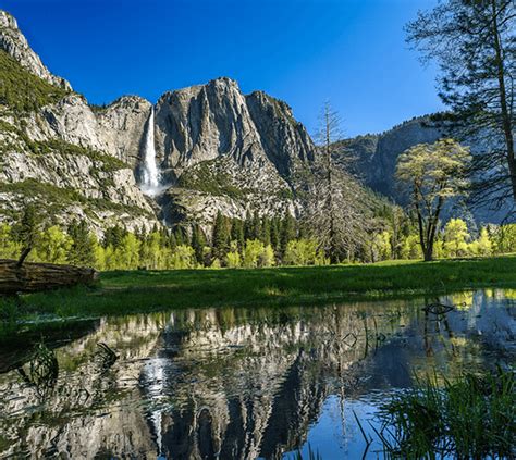 ヨセミテ国立公園ツアー 全米で大人気の世界遺産を堪能｜海外旅行のstw