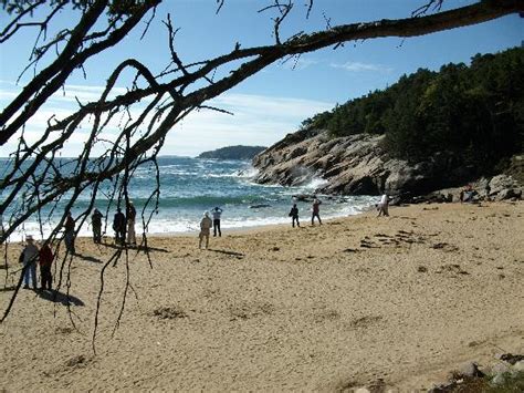 Sand Beach Acadia National Park All You Need To Know Before You Go