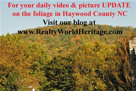 Fall Foliage In Smoky Mountains Of Maggie Valley Nc
