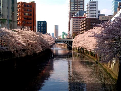 Meguro River Tokyo Japan World For Travel