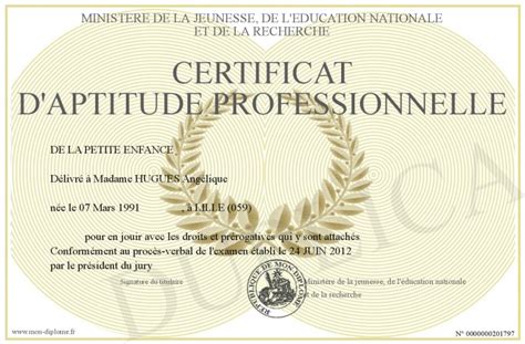 Certificat D Aptitude Professionnelle