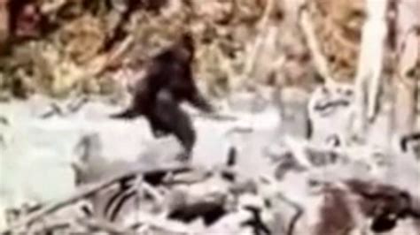 Reported Bigfoot Sightings In Indiana Wgn Tv