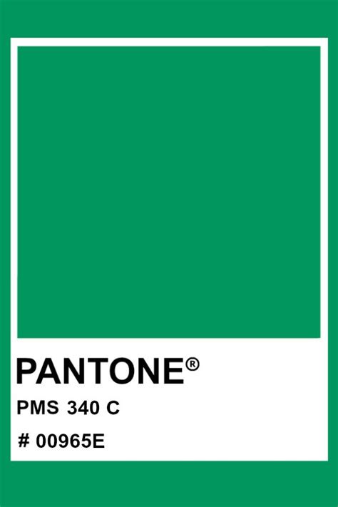 Pantone 340 C Pantone Color Pms Hex Pantone Green Pantone Pms