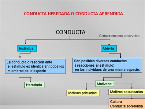 Conducta Heredada O Conducta Aprendida Conducta Comportamiento