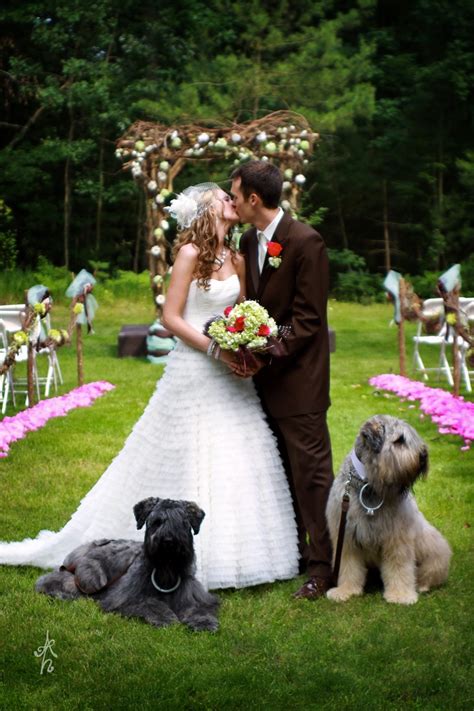 94 Best Dogs In Weddings Images On Pinterest Wedding
