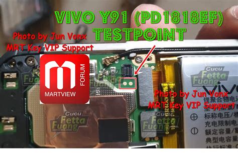 Vivo New Test Point Edl Pointcollection Here Martview Forum