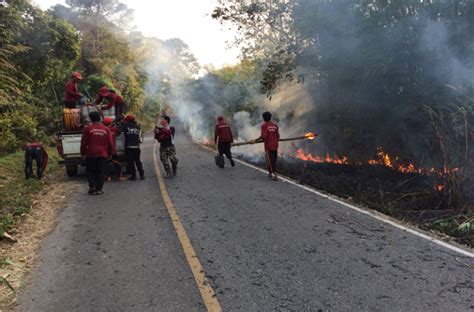 For Fire Ravaged Northern Thailand Theres Now An App To Battle The Blaze