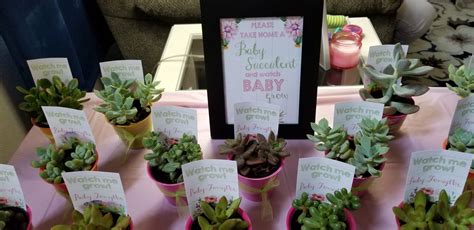 Cactus Themed Baby Shower Watch Baby Grow Succulent Party Favors