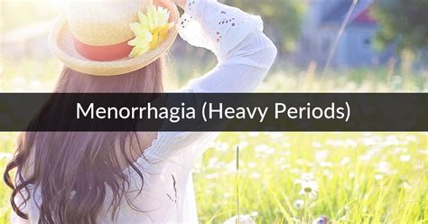Menorrhagia Heavy Periods Digital Naturopath