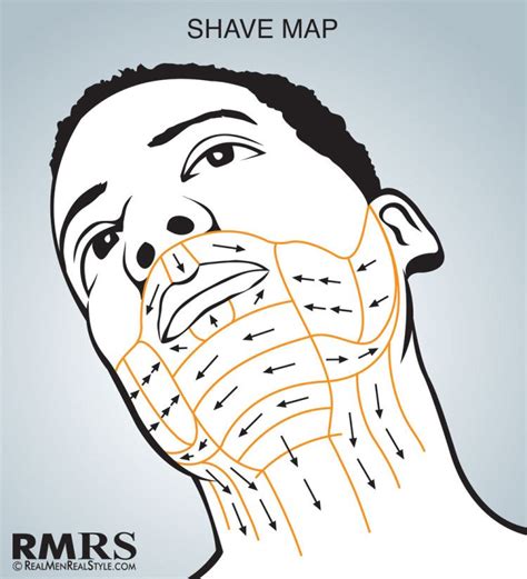 The ability to properly shave one is an essential trait to have on the road to man hood. Shave Maps Infographic | How To Shave Correctly | Which ...