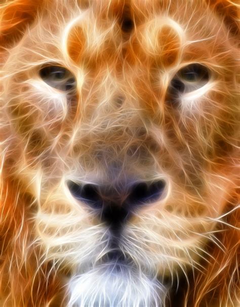 Fractal Lion Face Big Cats Art Fractals Lion Art