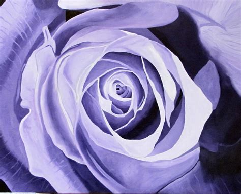 Purple Rose 1 Painting By Keith Johnson