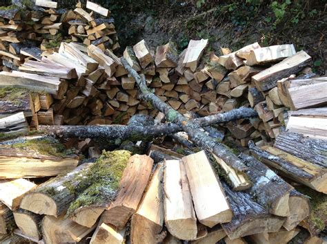 The Homesteading Experiment Holz Hausen Fast And Efficient Firewood