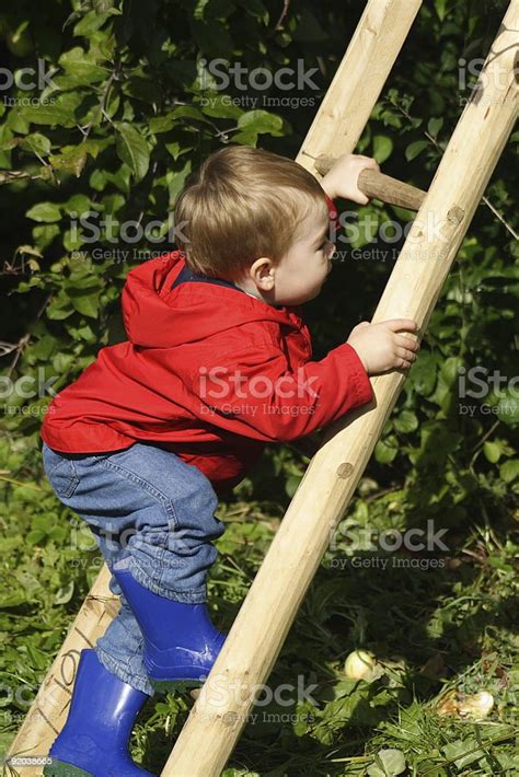 Boy Climbing Ladder Stock Photo Download Image Now Apple Fruit