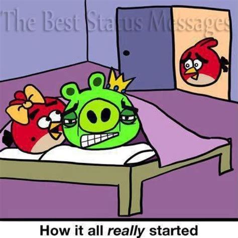 Maybe Angry Birds Funny Just For Fun More Fun Quirky Humor Bird Photo Ironic Funny