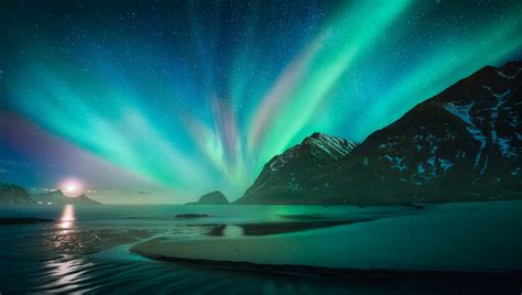 Lofoten Winter Magic: Photography Essentials for Capturing the Arctic