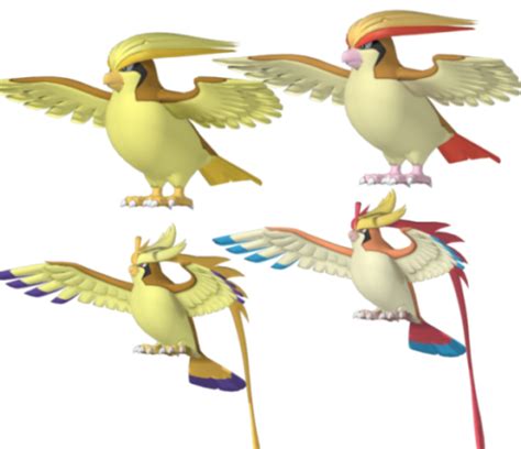 Pidgeot Pokemon Transparent Png Png Play