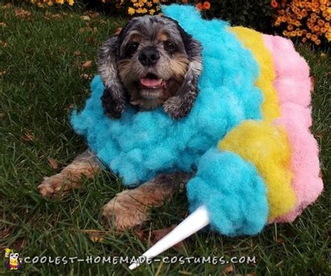 Awesome Cotton Candy Homemade Halloween Dog Costume