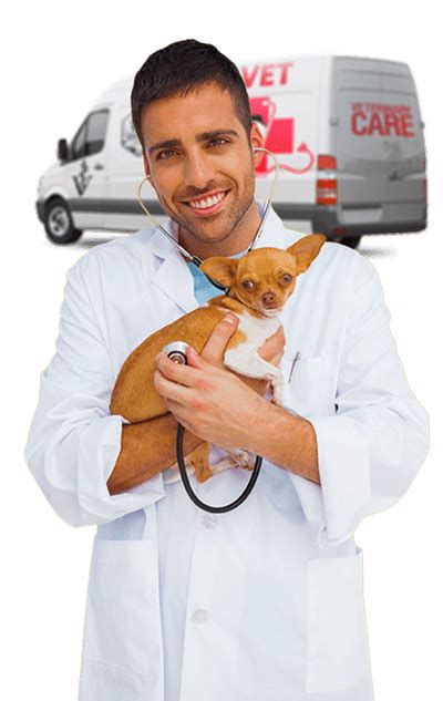Mobile Vet Fort Myers Fl House Call Vet Homeridge Mobile Veterinary