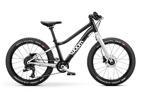 10 Best 20 Inch Mountain Bikes Your Child Will Love Rascal Rides