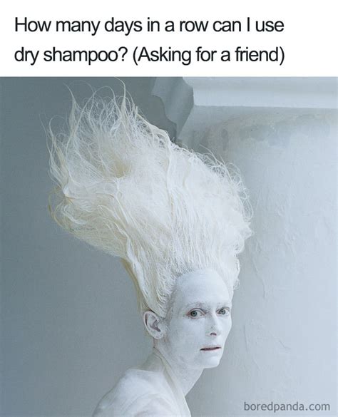 you might feel bad for your hairstylist after seeing these 25 hairdresser memes demilked
