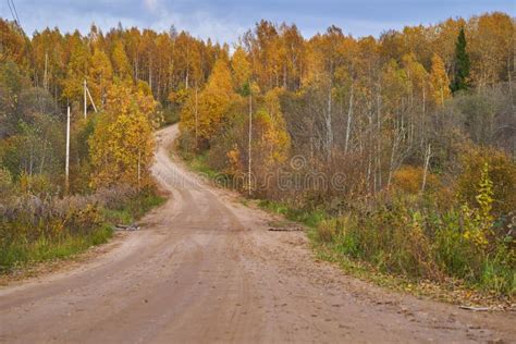 Winding Dirt Road Through The Autumn Forest Beautiful Autumn Landscape