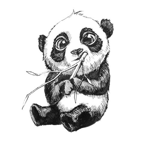 Panda Bear Eating Bamboo Hand Drawn Illustration Stock Illustration