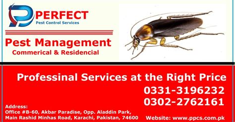 Perfect Pest Control Services Termite Proofing Treatment Bedbugs