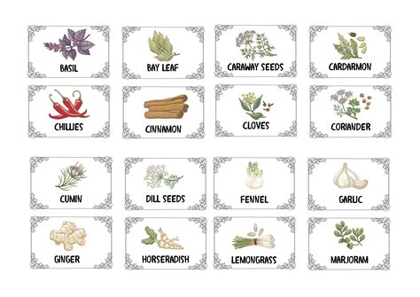 Herbs And Spices Color Illustrated Labels Graphic By Angela H Evans