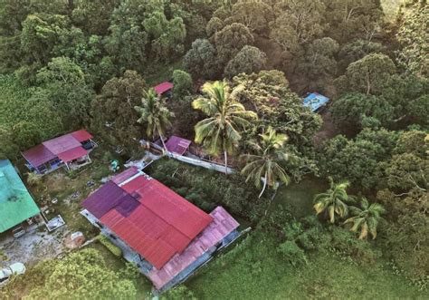 Shikin’s unwavering mission: Rescuing stray animals and defying taboos