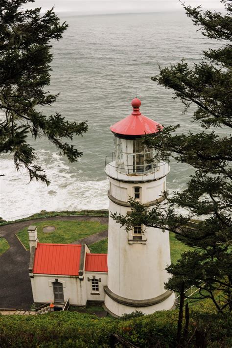 Heceta Lighthouse Oregon Everything You Need To Know About Sand Dunes