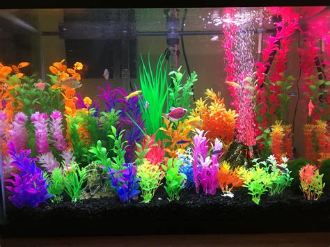 Colorful Fish Tank Fish Tank Themes Fish Tank Plants Cool Fish Tank