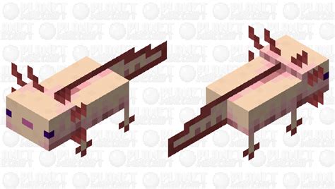 Axolotl Albino Remade Minecraft Mob Skin