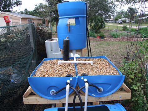 You will require adequate aeration, appropriate time for the. TCLynx Big Aquaponics System, How it all Started ...
