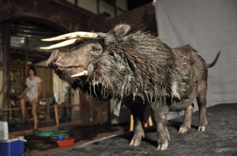 The Secret of the Aurochs - Neatorama