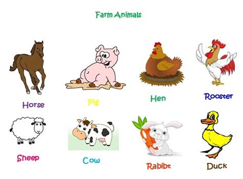 English Kids Fun Farm Animals