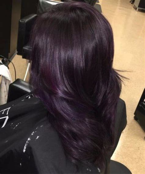 Black Mane With A Dazzling Hint Of Dark Purple Plum Hair Color Hair