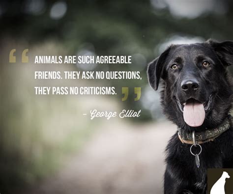 Man's best friend quotes dog. Mans Best Friend Dog Quotes. QuotesGram
