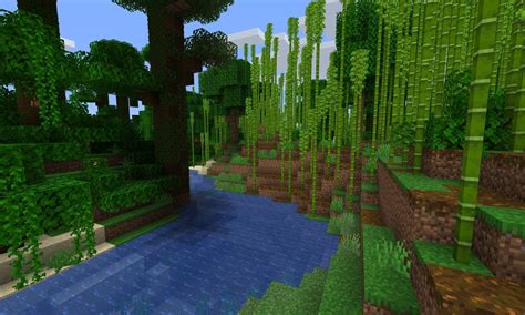 Dense Bamboo Forest In Jungle For Java Edition Minecraft Seed Hq