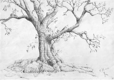 FREE 20+ Tree Drawings in AI Ecological icons tree with two hands.
