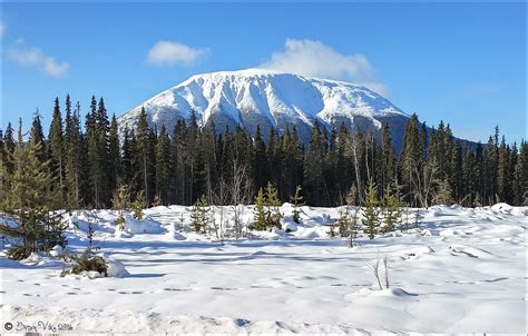 Northern Interior British Columbia 2016 Winter Nadina