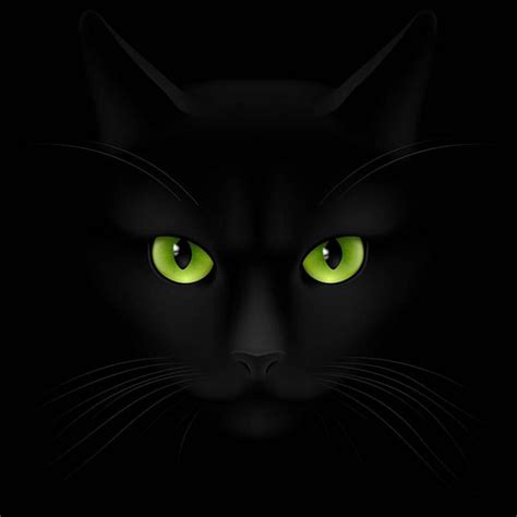28 Black Cat With Green Eyes Wallpapers