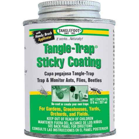 Buy Tanglefoot Tangle Trap Sticky Insect Bait 8 Oz Trap