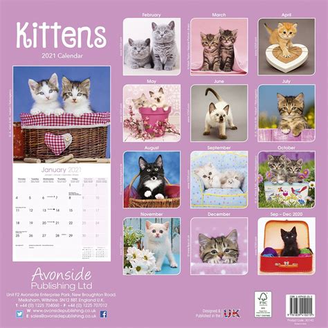 Kittens Calendar Cat Calendars Pet Prints Inc