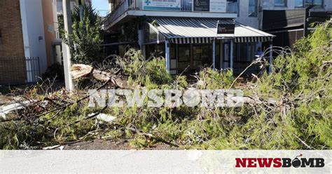 We did not find results for: Ρεπορτάζ Newsbomb.gr: Eικόνες χάους στο Νέο Ηράκλειο ...