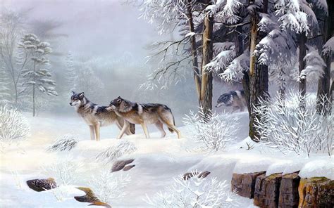 Winter Wolf Wallpapers Top Free Winter Wolf Backgrounds Wallpaperaccess